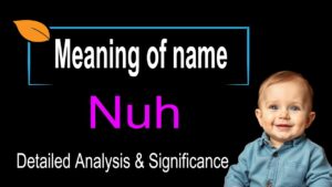 Nuh Name Meaning