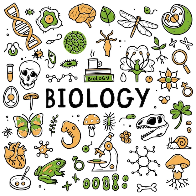 You’re Lagging If You Still Think Biology Requires Memorisation Without Understanding!