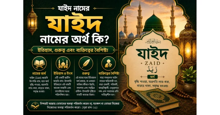 যাইদ নামের অর্থ | ইতিহাস, গুরুত্ব এবং ব্যক্তিত্বের বৈশিষ্ট্য
