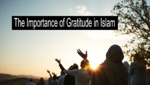 The Importance of Gratitude in Islam: Spiritual and Social Elevation Through Thankfulness