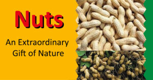 Nuts: An Extraordinary Gift of Nature