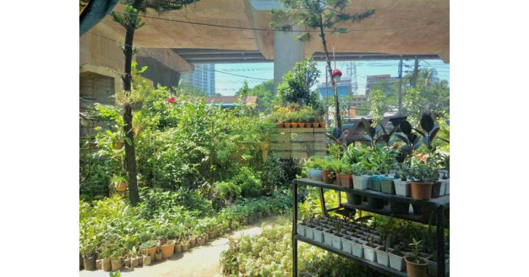 TO : Beloved Mother.