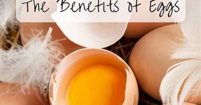 Health Benefits Of Eggs