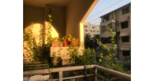 Plain Reading Makes You Regret Your IELTs Gap Fillings.