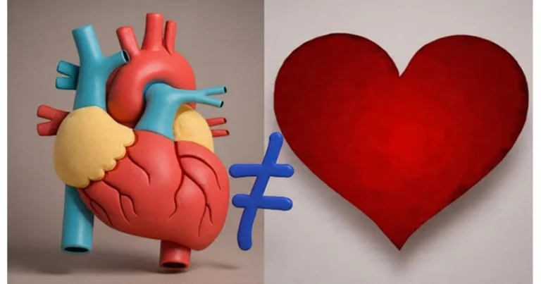The MISTAKE Of Heart That Has Made Expressing Love EASIER!
