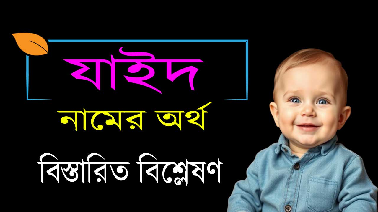 যাইদ নামের অর্থ কি