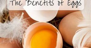 Health Benefits Of Eggs