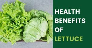 Health Benefits Of Lettuce