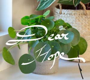 Hope Has No Absence
